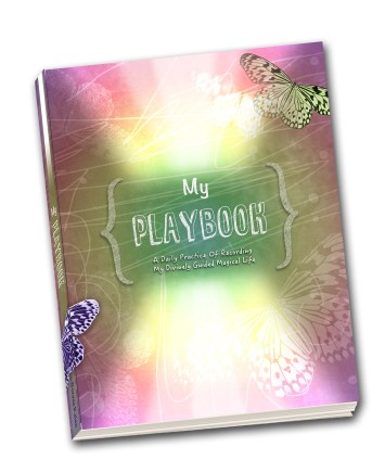 PlaybookCoverSM tilt